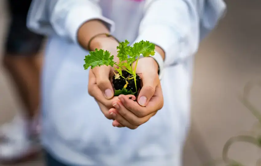 photo of student service