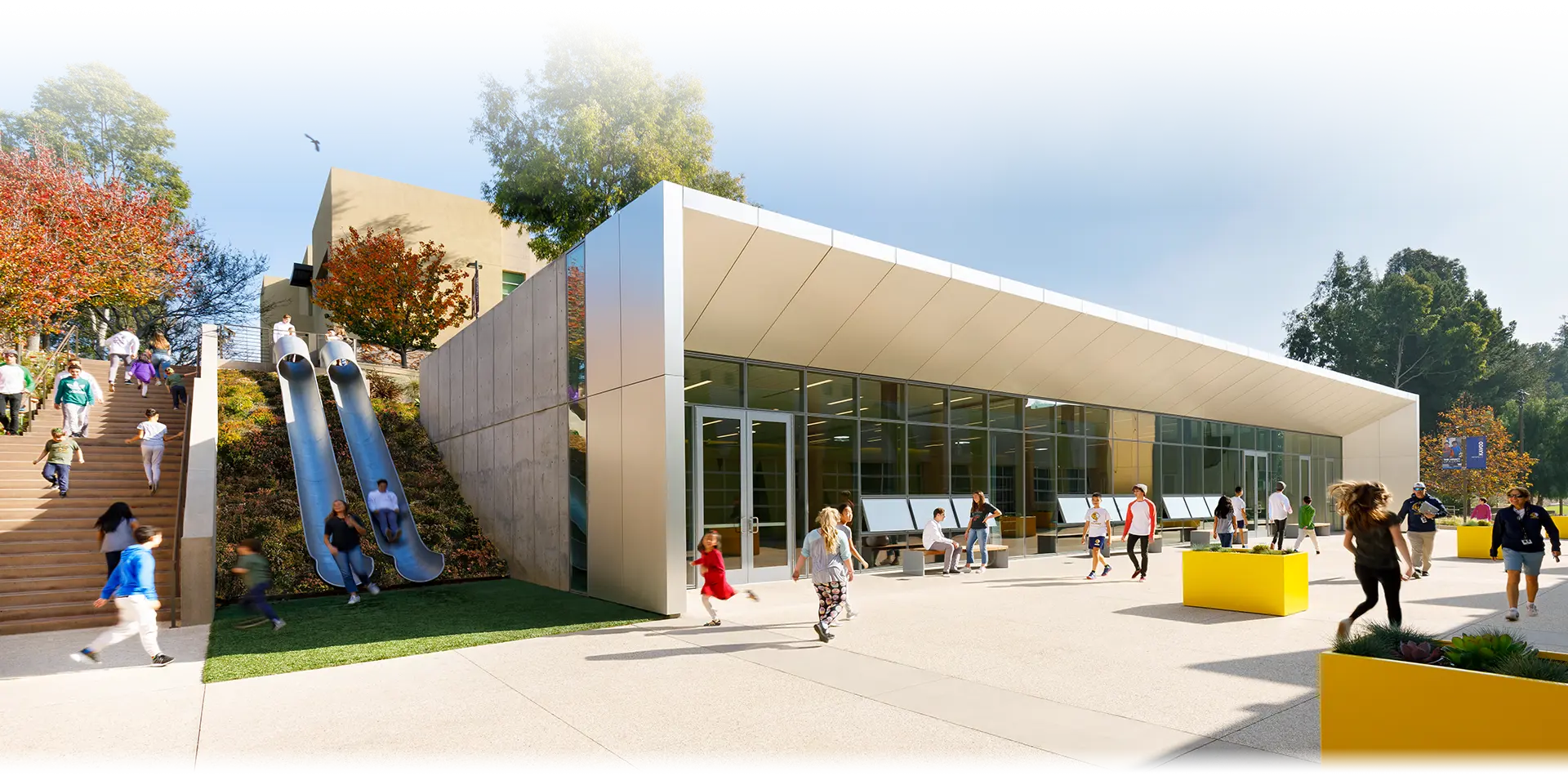  OptimizedImage,,,Optimized